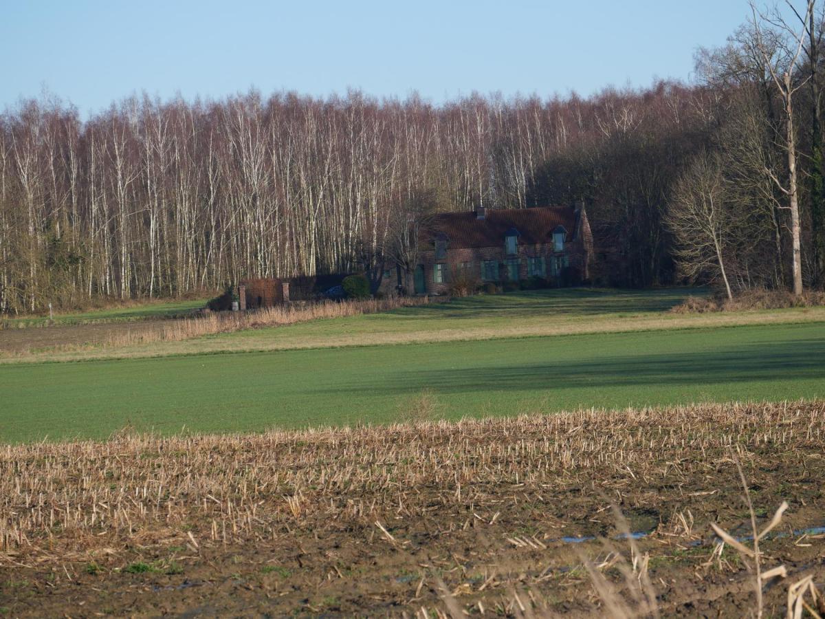 La Cabane Du Chasseur Flines-Les-Mortagne Eksteriør billede